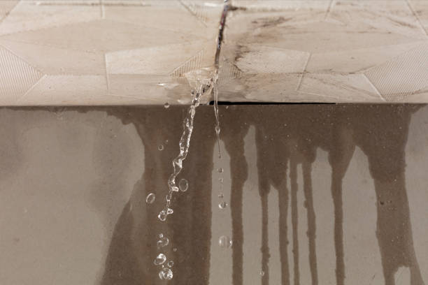 Professional Structural Drying technician working in East Lyme, CT